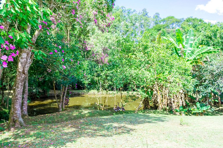 Sítio com piscina, churrasqueira e área arborizada