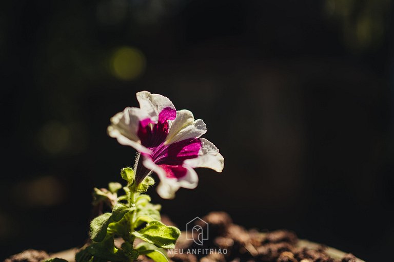 Chalé em Campos do Jordão