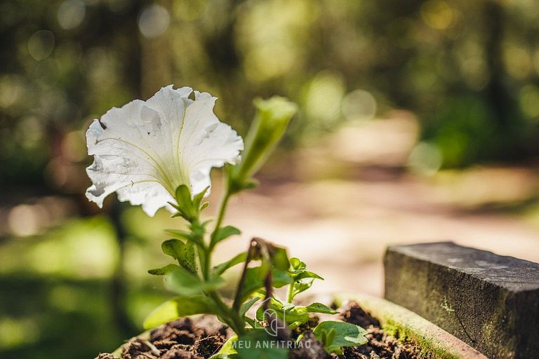 Chalet moderno | Rústico | Naturaleza | Familiar