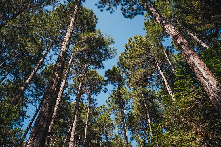 Chalet moderno | Rústico | Naturaleza | Familiar